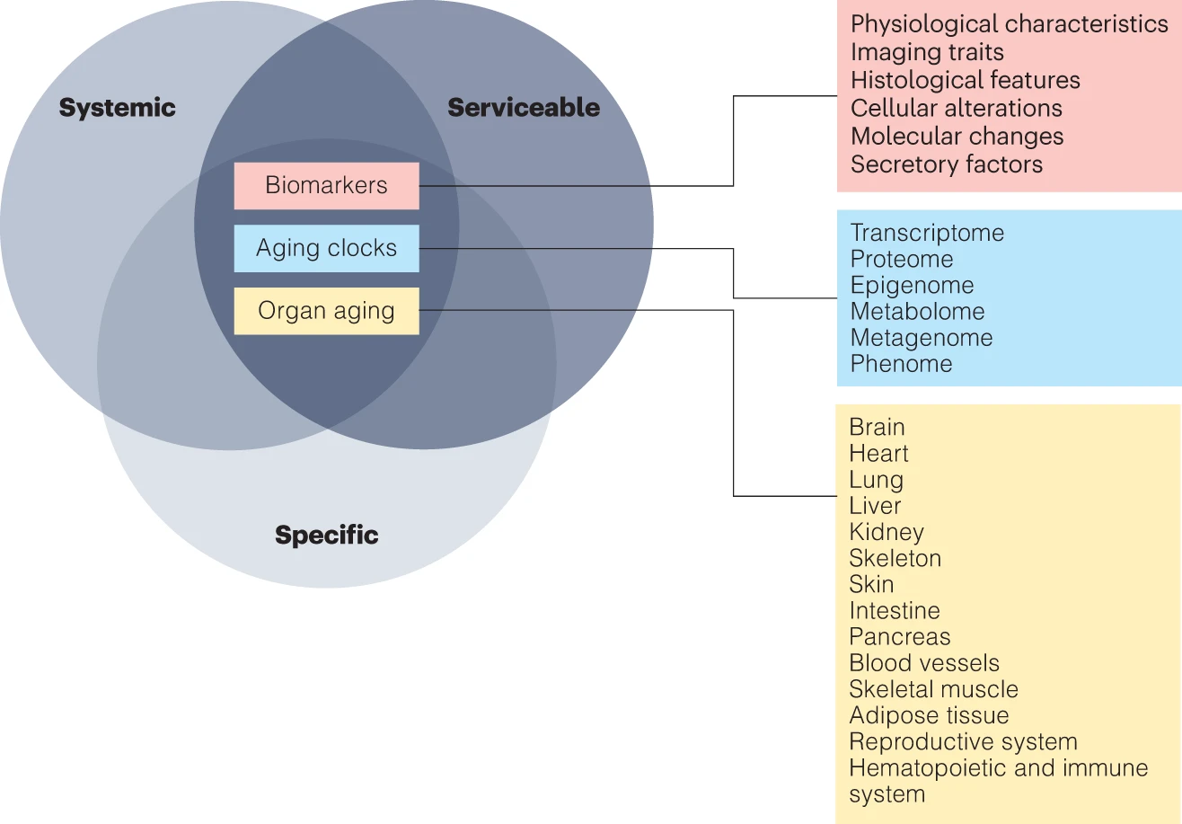 Nat Med 2023 — Aging Biomarker Consortium framework