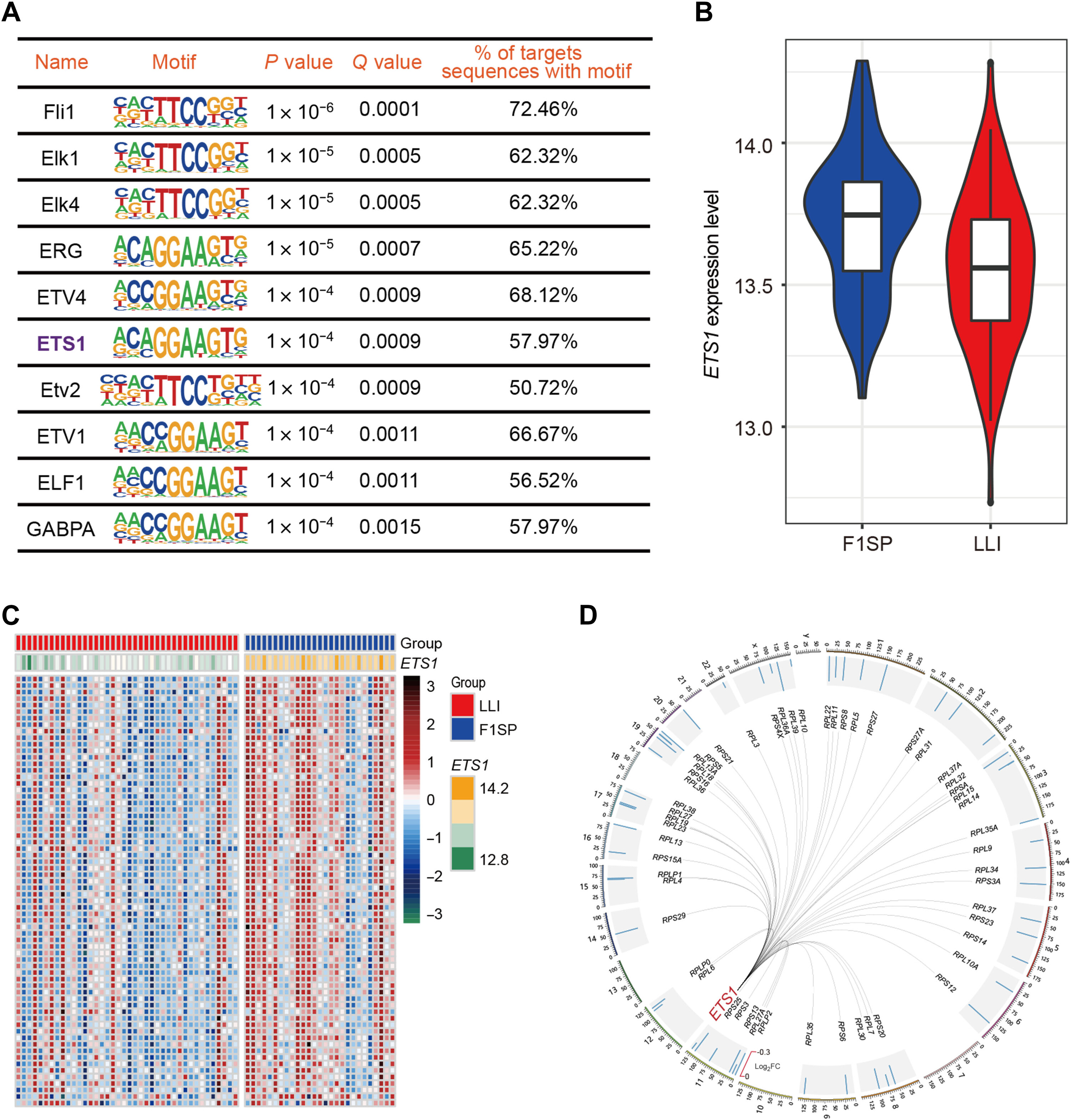 Sci Adv 2022 — ETS1 regulates healthy aging via ribosomal activity